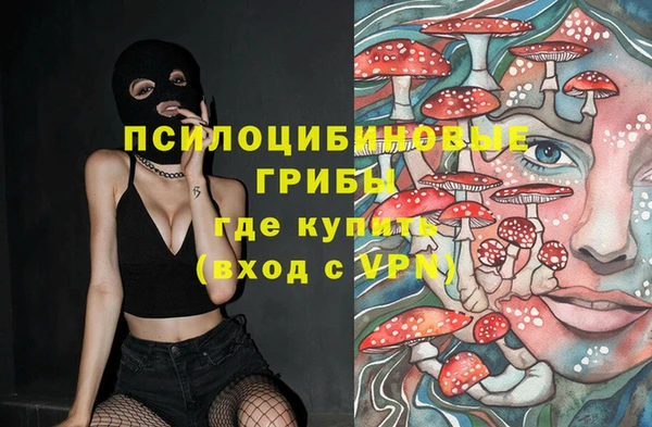 а пвп мука Кукмор