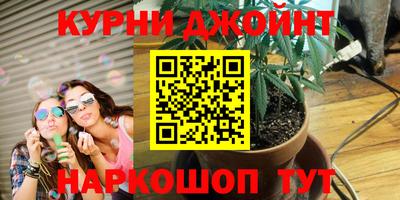 PSILOCYBIN Изобильный