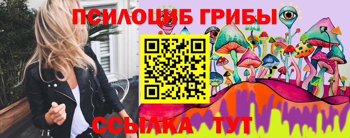 даркнет сайт  Псилоцибиновые грибы прущие грибы  Череповец  Галлюциногенные грибы Psilocybine cubensis 