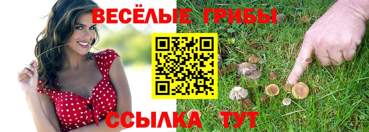 Галлюциногенные грибы прущие грибы Череповец