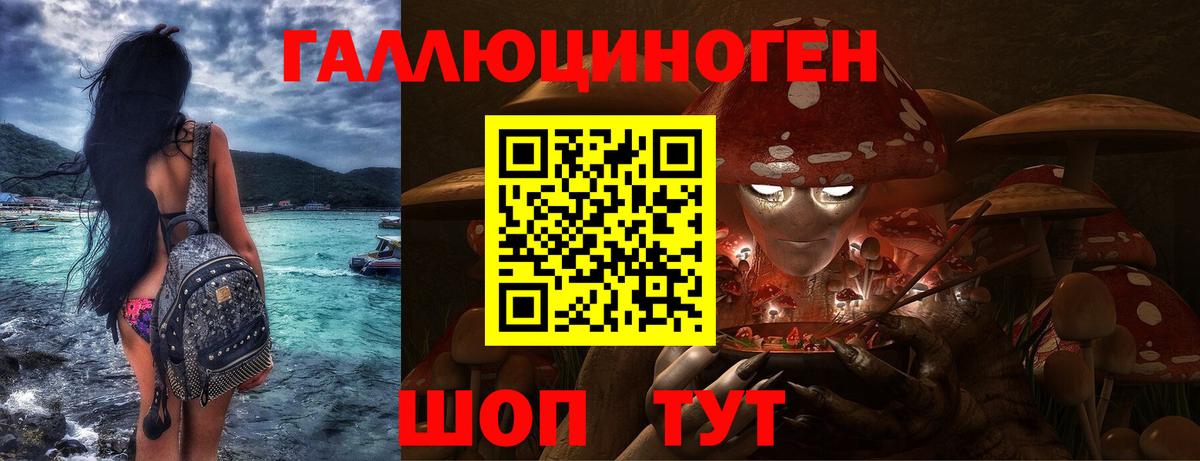 МЕФ Череповец