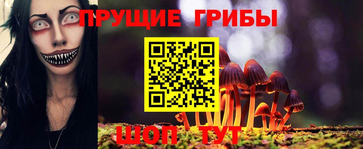 Псилоцибиновые грибы Psilocybine cubensis Череповец