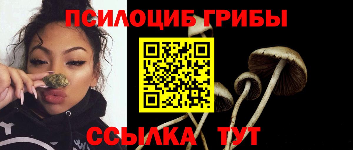 Галлюциногенные грибы MAGIC MUSHROOMS  Галлюциногенные грибы Cubensis  Череповец  Вход с VPN 